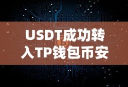 USDT成功转入TP钱包币安链的详细步骤指南