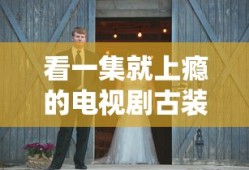 看一集就上瘾的电视剧古装剧有哪些