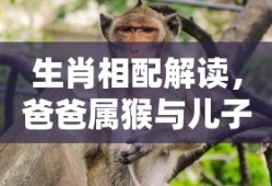 塔防三国志论坛公告