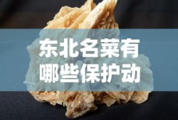 东北名菜有哪些保护动物