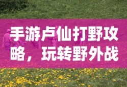 q宠大乐斗文字版登录入口