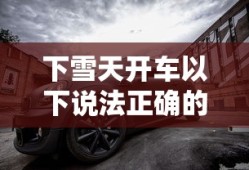 下雪天开车以下说法正确的是什么