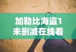加勒比海盗1未删减在线看
