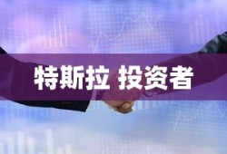 特斯拉 投资者