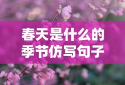 春天是什么的季节仿写句子
