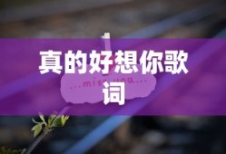真的好想你歌词