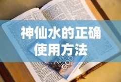 codol重新开服