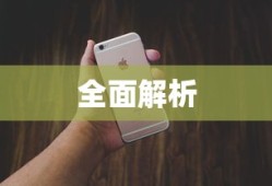 保时捷官网12.4万元帕纳梅拉遭抢购是真的吗