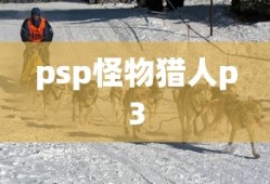 psp怪物猎人p3