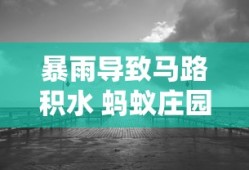 暴雨导致马路积水 蚂蚁庄园