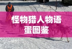 考驾照不看书只刷题可以吗