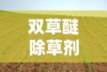 双草醚除草剂几天见效