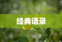 4399赛尔号宙斯怎么打