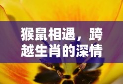凯多是什么果实能力者