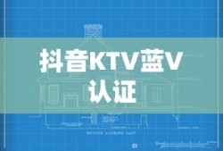 抖音KTV蓝V认证解读与探讨