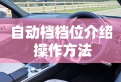 自动档档位介绍 操作方法