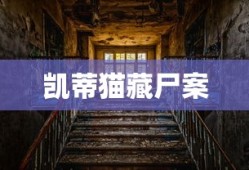 航海王启航官网网站