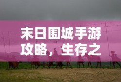 USDT转至火币钱包的详细步骤