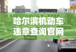哈尔滨机动车违章查询官网