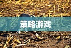 帝国时代4免费下载，重温经典策略游戏魅力时光