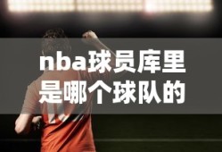 nba球员库里是哪个球队的