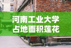 宇宙队长蜘蛛侠