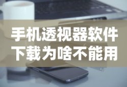 手机透视器软件下载为啥不能用