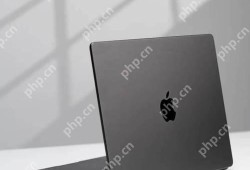 Mac系统更新教程，轻松完成系统升级步骤