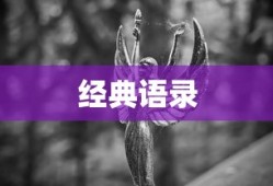 与君相识，经典语录精选