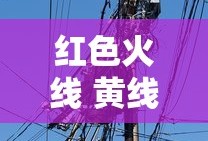 红色火线 黄线和蓝色线是什么