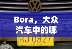 Bora是大众汽车中的波罗车型。