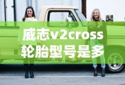 威志v2cross轮胎型号是多少