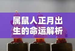 李香绯拳皇