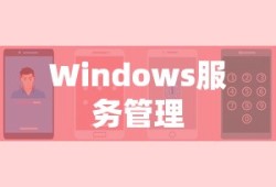 stk战队队员