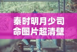 秦时明月少司命图片超清壁纸