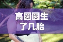 高圆圆生了几胎