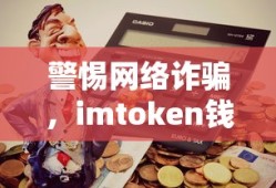 警惕网络诈骗，imToken钱被骗案例深度解析