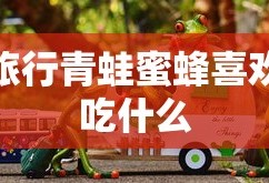 旅行青蛙蜜蜂喜欢吃什么