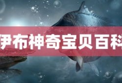 伊布神奇宝贝百科
