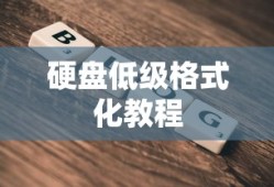 U启动DiskGenius工具进行硬盘低级格式化的教程