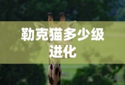 勒克猫多少级进化