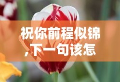 祝你前程似锦,下一句该怎么接?