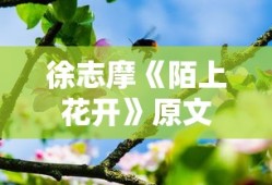百家讲坛全集320部网盘