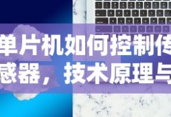 优秀作文开头与结尾的魅力，摘抄与赏析