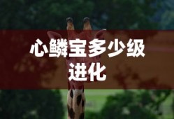 心鳞宝多少级进化