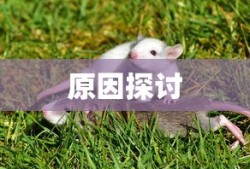 LOL手游英雄全集，陪你共筑英雄梦