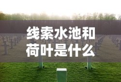 线索水池和荷叶是什么妖怪?