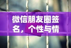 微信朋友圈签名，个性与情感的独特表达艺术