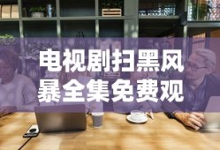 电视剧扫黑风暴全集免费观看