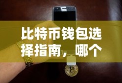 比特币钱包选择指南，如何挑选最适合您的钱包？